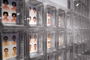 Schizoide Exposition
